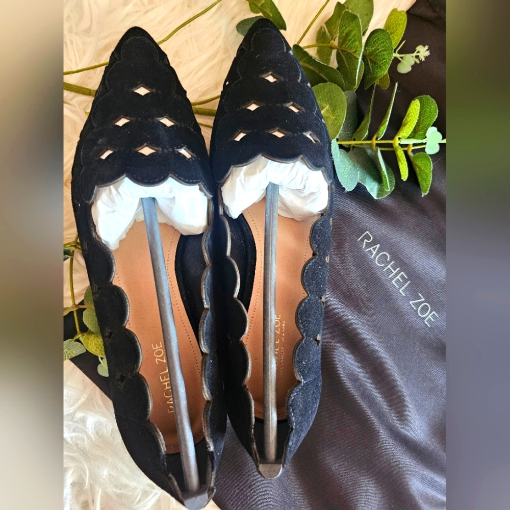 Rachel Zoe: Suede Elegant Shoes